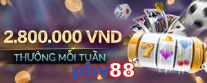 pbv88